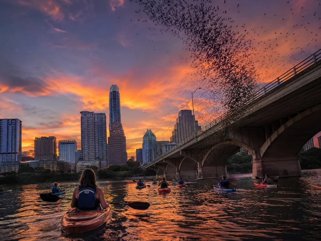 Austin : balade en kayak au coucher du soleil pour observer les chauves-souris